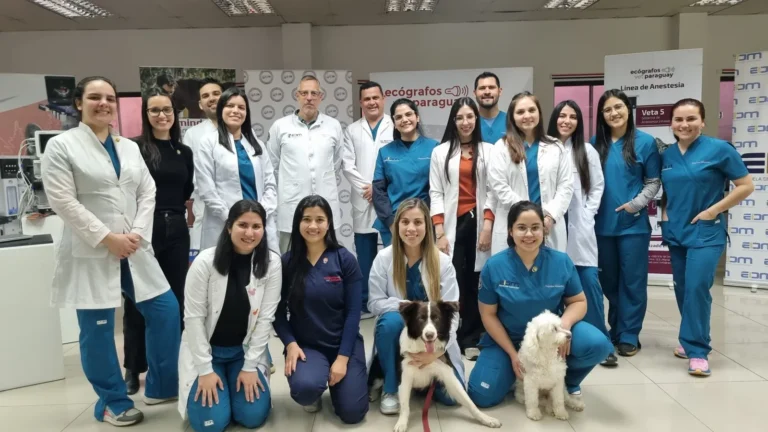 Curso de ultrasonografía, disertante Dr. Hernán Fominaya
